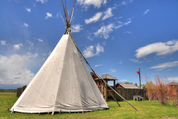 The Future of Indigenous Business