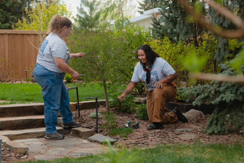 flower power gardening 6828