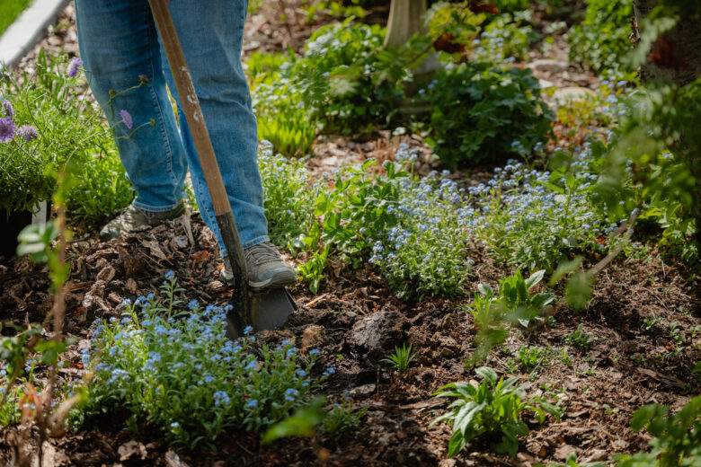 flower power gardening 7575